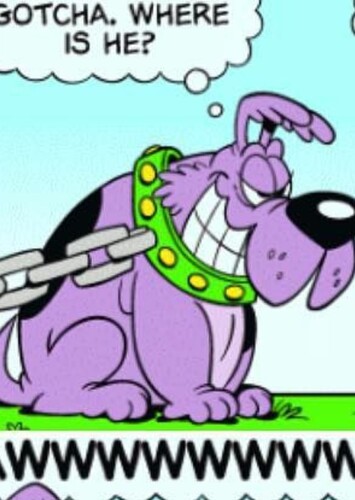 Big Vicious Dog