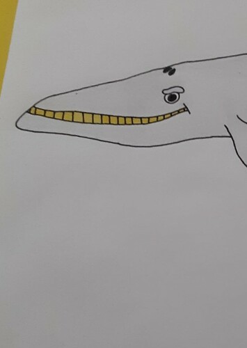 Bigmouth the Whale