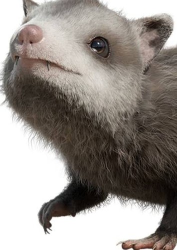 Bilbo