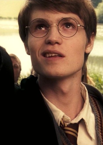 Bill Weasley
