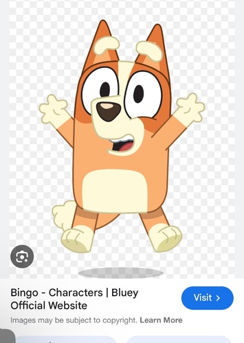 Bingo