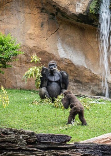 Bioparc Fuengirola