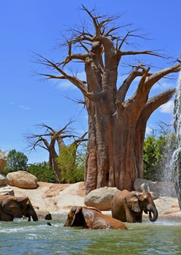 Bioparc Valencina