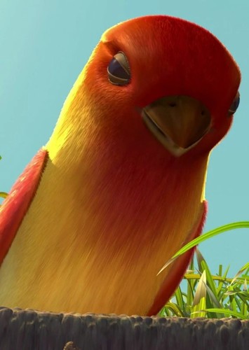 Bird
