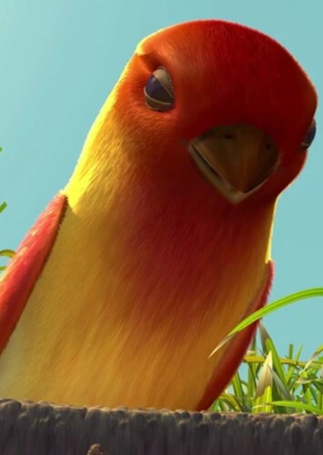 Bird