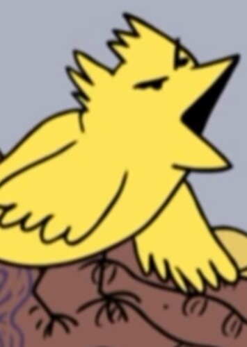 Bird