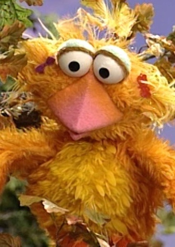 Bird