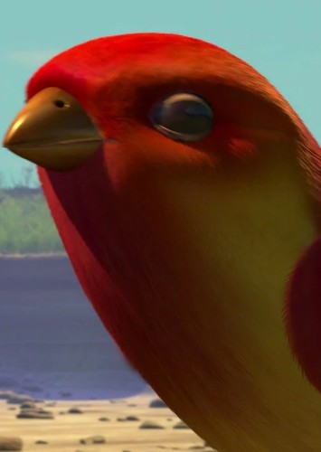 Bird
