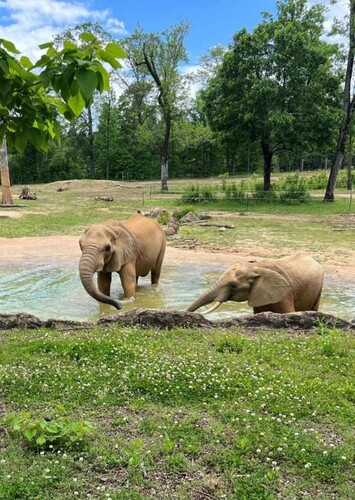 Birmingham Zoo