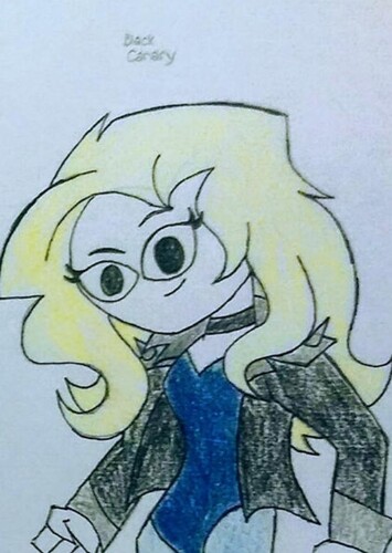 Black Canary / Dinah Lance
