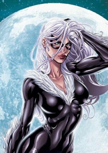 Black cat