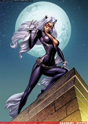 Black Cat