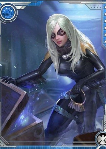 Black cat