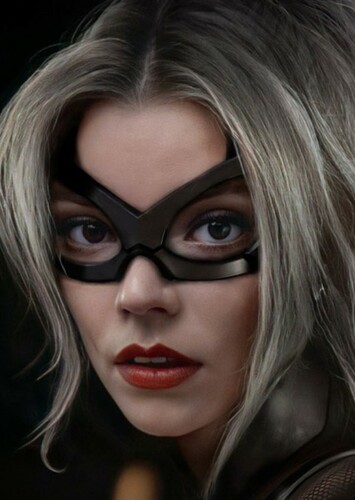 Black cat