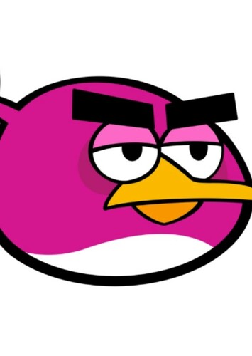 Black Hole Bird