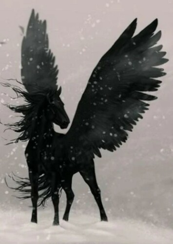 Black Jack