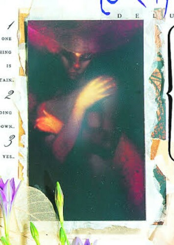 Black Orchid