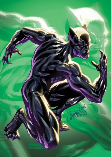 Black Panther I
