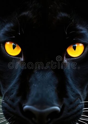 Black Panther (Animal)