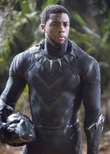 Black Panther (King  T'challa)