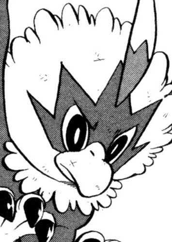 Black's Rufflet (English Dub)
