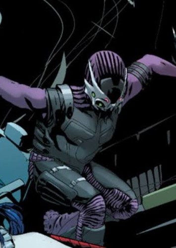 Black spider