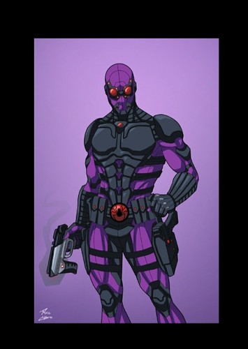 Black spider