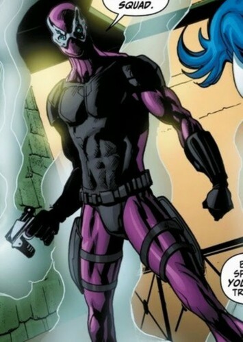 Black Spider