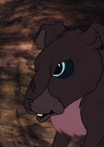 Blackavar