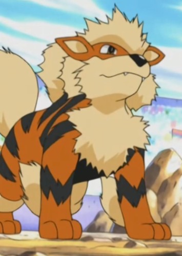 Blaine's Arcanine