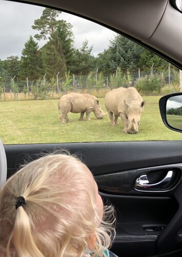 Blair Drummond Safari and Adventure Park