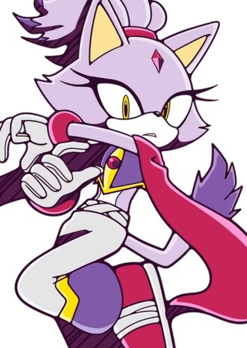 Blaze the Cat