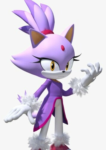 Blaze the cat