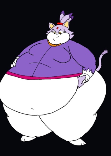 Blaze the Cat