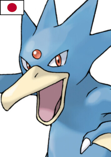 Blossom's Golduck (Japanese)