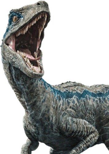 Blue Raptor