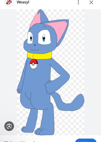 Blue cat riolu