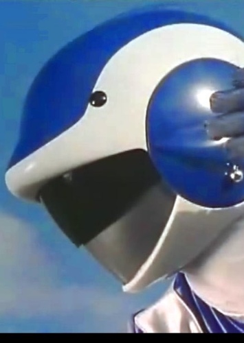 Blue Dolphin Ranger