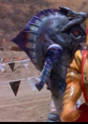 Blue grouperhead