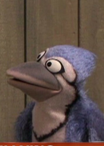Blue Jay
