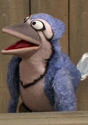 Blue Jay