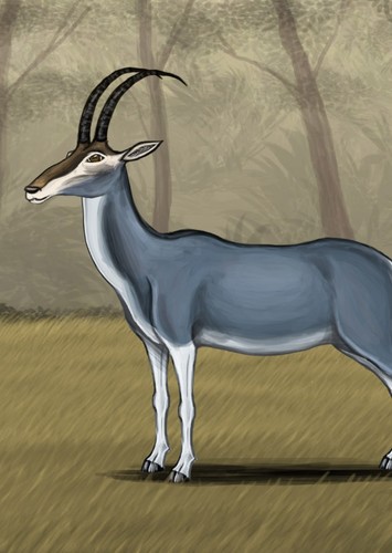 Bluebuck