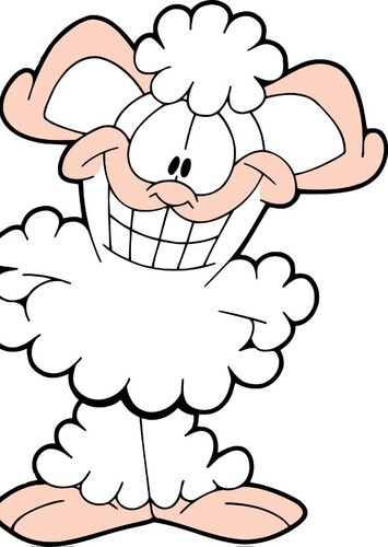Bo Sheep