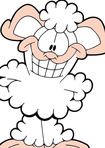 Bo Sheep