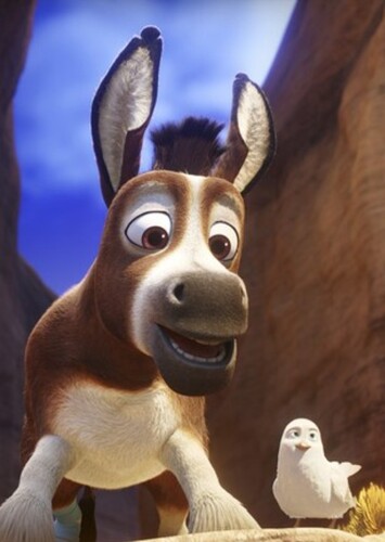 Bo the Donkey