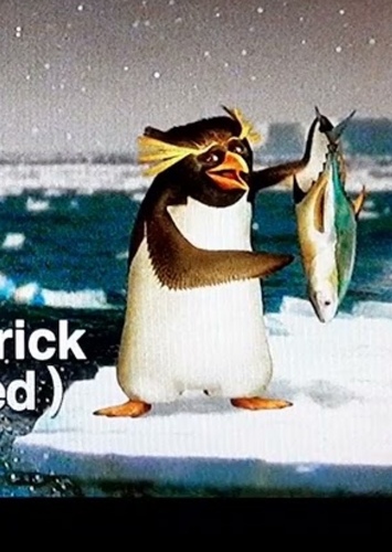 Bob