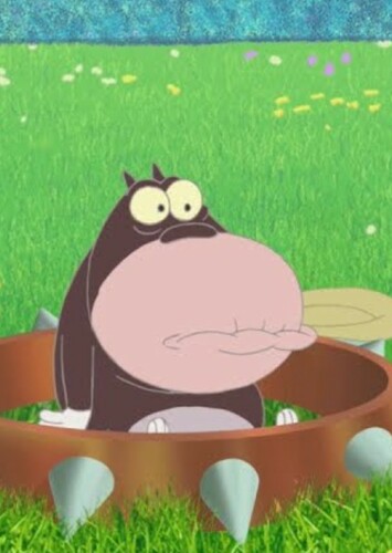 Bob