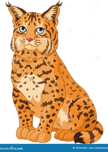 Bobcat