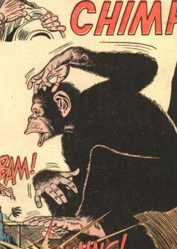 Bobo T. Chimpanzee/Detective Chimp