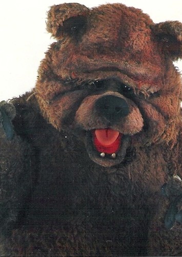 Bobo the Bear